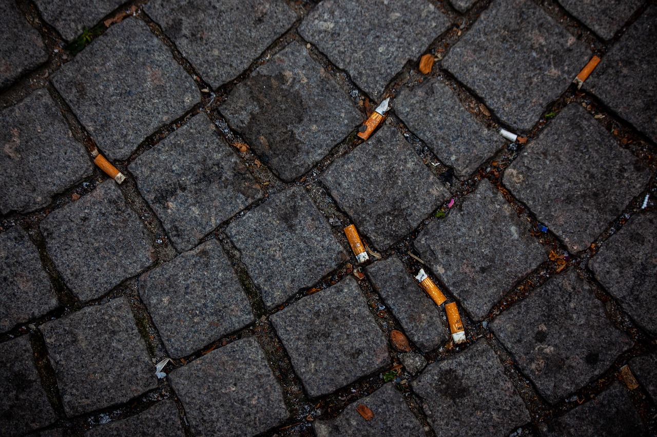 Street, cigarette butt, pollution in Allen, TX